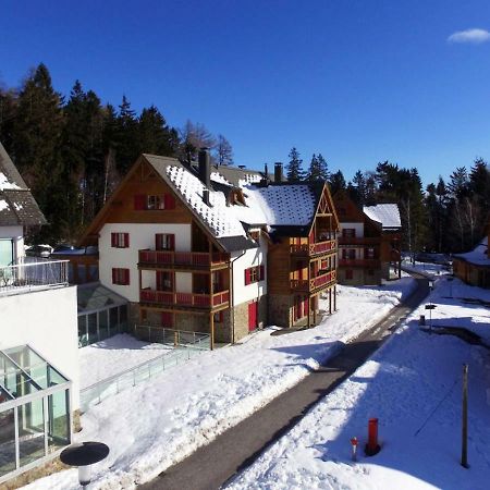 Antela, 142 M2 Appartment For 12 Person In Mariborsko Pohorje Хочко Погорье Экстерьер фото
