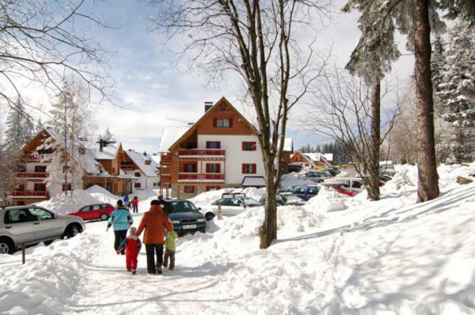 Antela, 142 M2 Appartment For 12 Person In Mariborsko Pohorje Хочко Погорье Экстерьер фото